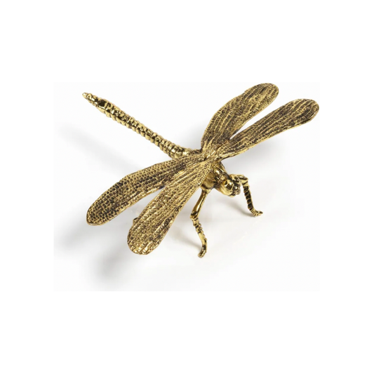 Decorative Antique Dragonfly