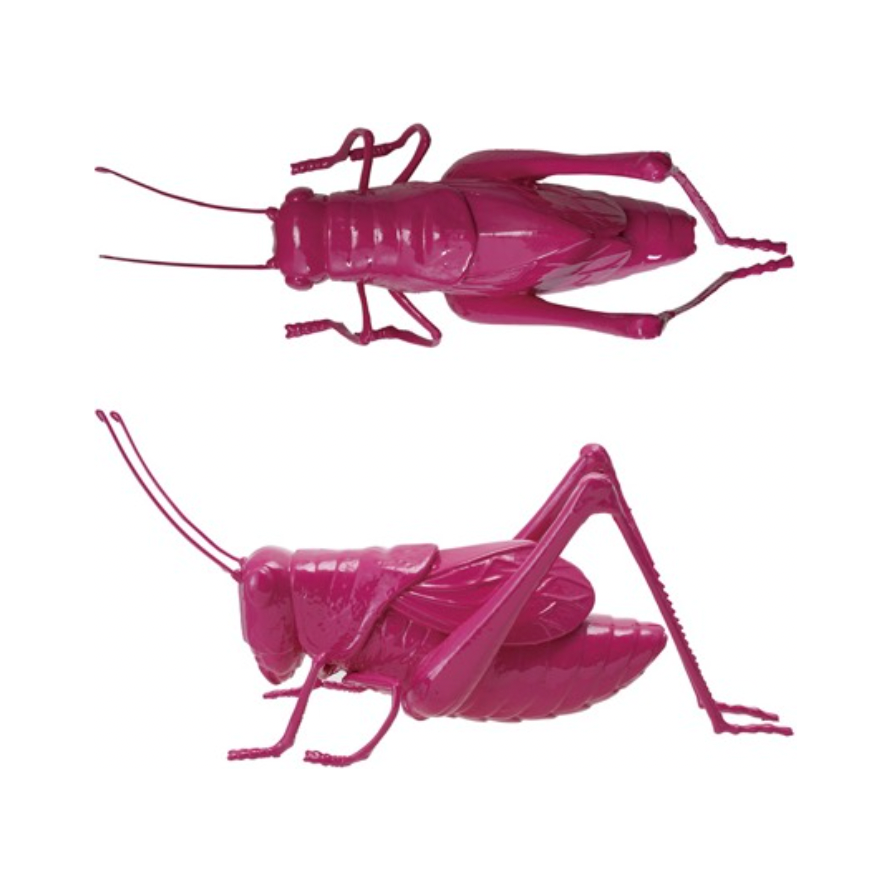 Resin Cricket Decor